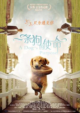 69日小视频在线观看